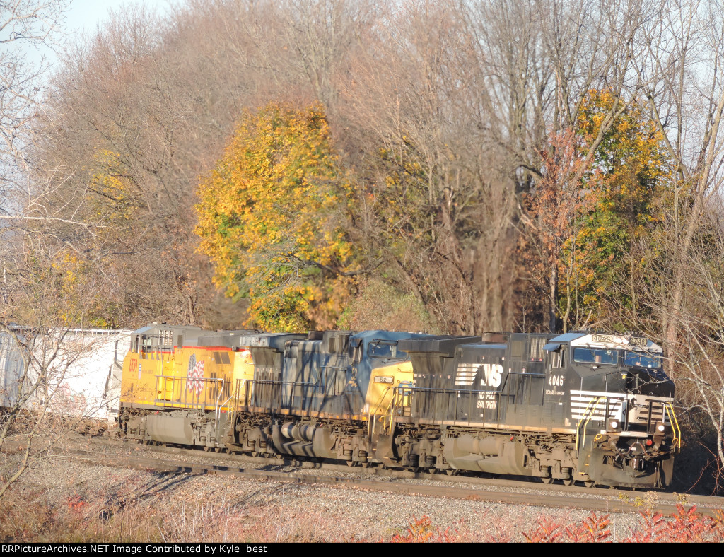 NS 4046 on 310